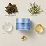Phytomer Night Recharge Youth Enhancing Cream 50ml flatlay on limestone surface with Marine Microalgae Extract, Salicornia Extract, Glycolic and Lactic AHAs, Jojoba Seed Oil, and Vitamin E