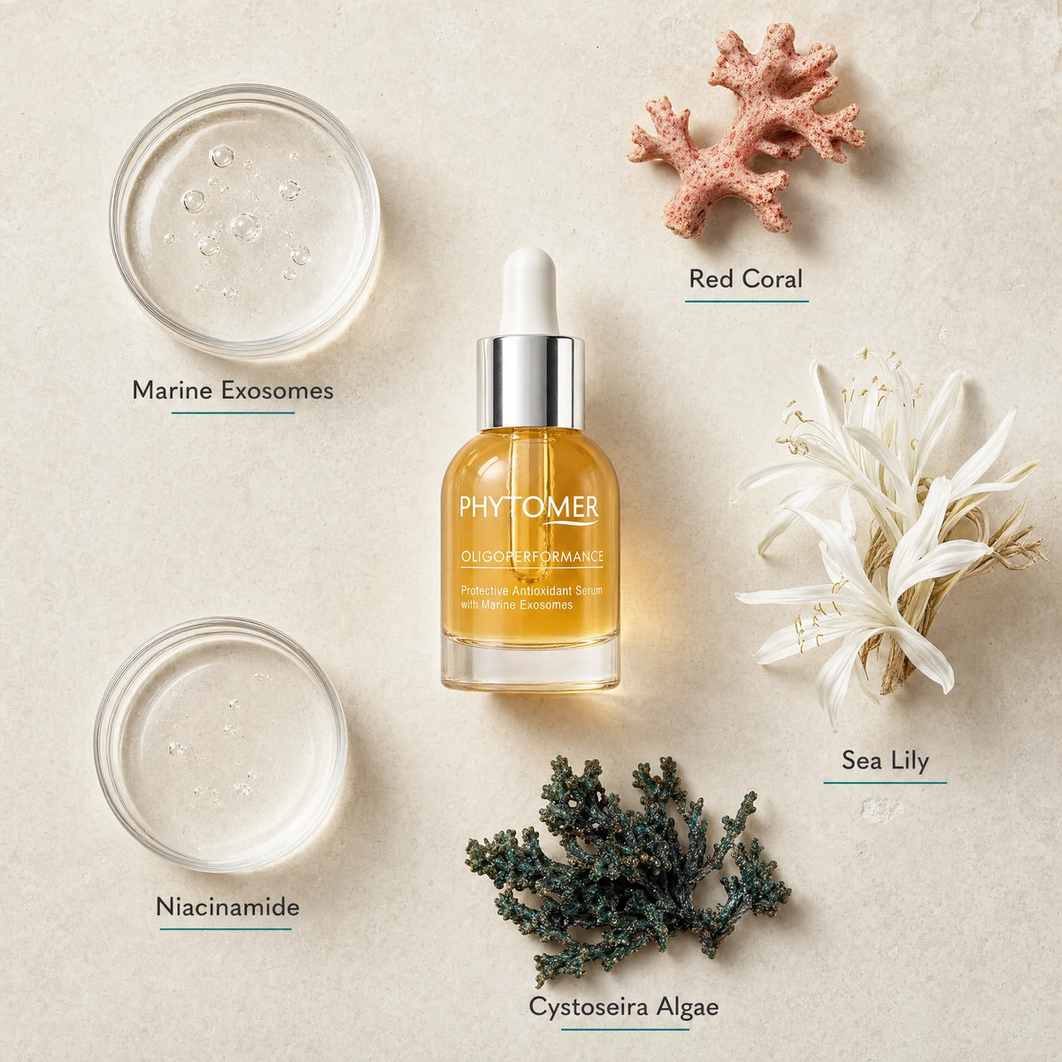 Phytomer Oligoperformance Protective Antioxidant Serum 30ml flatlay on limestone surface with Marine Exosomes, Red Coral, Sea Lily, Niacinamide, and Cystoseira Algae