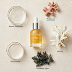 Phytomer Oligoperformance Protective Antioxidant Serum 30ml flatlay on limestone surface with Marine Exosomes, Red Coral, Sea Lily, Niacinamide, and Cystoseira Algae