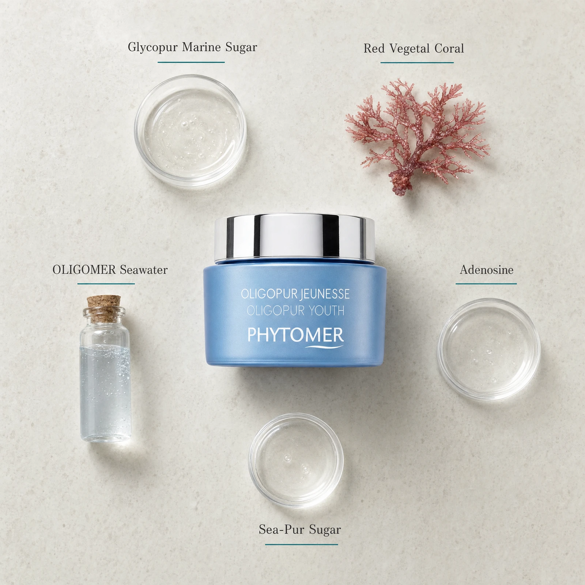 Phytomer Oligopur Youth Targeted Cream 50ml flatlay on limestone surface with Glycopur Marine Sugar, Red Vegetal Coral, OLIGOMER Seawater, Adenosine, and Sea-Pur Sugar