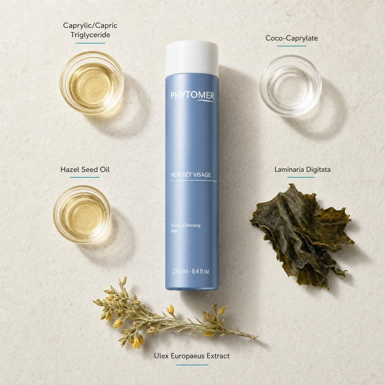 Phytomer Perfect Visage Gentle Cleansing Milk 250ml flatlay on limestone surface with Caprylic/Capric Triglyceride, Coco-Caprylate, Hazel Seed Oil, Laminaria Digitata, and Ulex Europaeus Extract