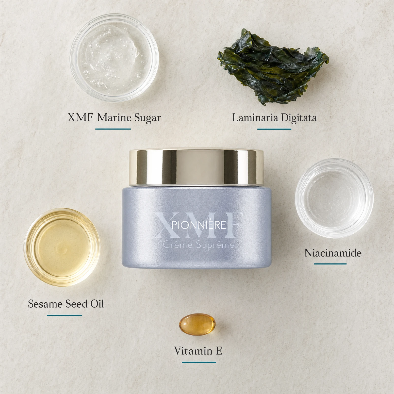 Phytomer Pionniere XMF Youth and Glow Supreme Cream flatlay on limestone surface with XMF Marine Sugar, Laminaria Digitata, Niacinamide, Sesame Seed Oil, and Vitamin E