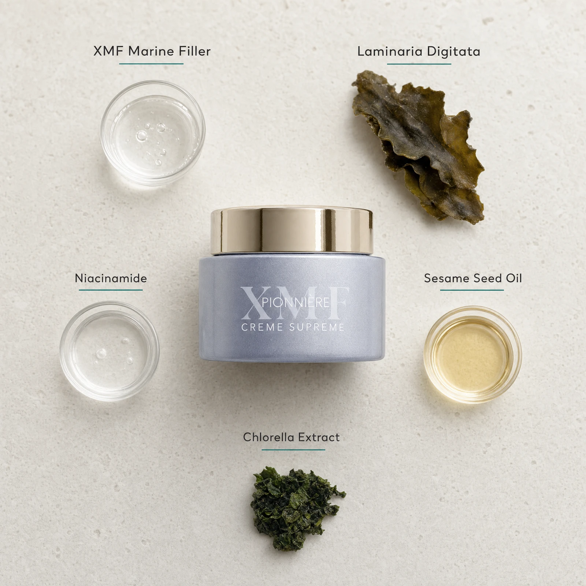 Phytomer Pionniere XMF Youth and Glow Supreme Cream flatlay on limestone surface with XMF Marine Sugar, Laminaria Digitata, Niacinamide, Sesame Seed Oil, and Vitamin E