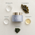 Phytomer Pionniere XMF Youth and Glow Supreme Cream flatlay on limestone surface with XMF Marine Sugar, Laminaria Digitata, Niacinamide, Sesame Seed Oil, and Vitamin E