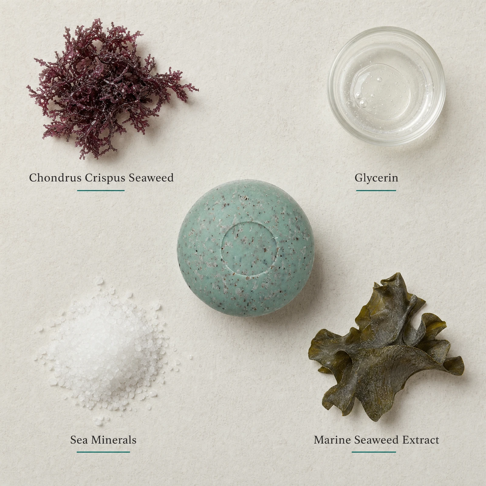 Phytomer Seaweed Soap 150g flatlay on limestone surface with Chondrus Crispus Seaweed, Glycerin, Sea Minerals, and Marine Seaweed Extract
